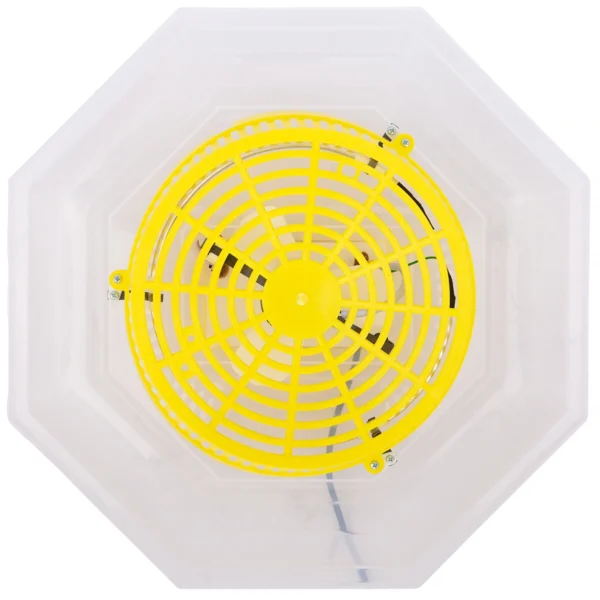 Inkubator do wylęgu jaj iBator Home 60