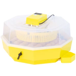 Inkubator lęgowy iBator HOME 60 z wyświetlaczem i tacą półautomatyczną