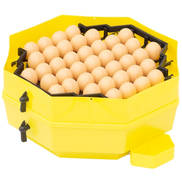 jajka-inkubator Inkubator lęgowy z klujnikiem iBator HOME 120