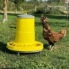 Karmnik dla kur na nóżkach 7 kg