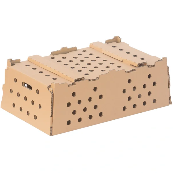 karton-do-przewozu-ptakow Karton na gołębie 64 x 38 x 22 cm