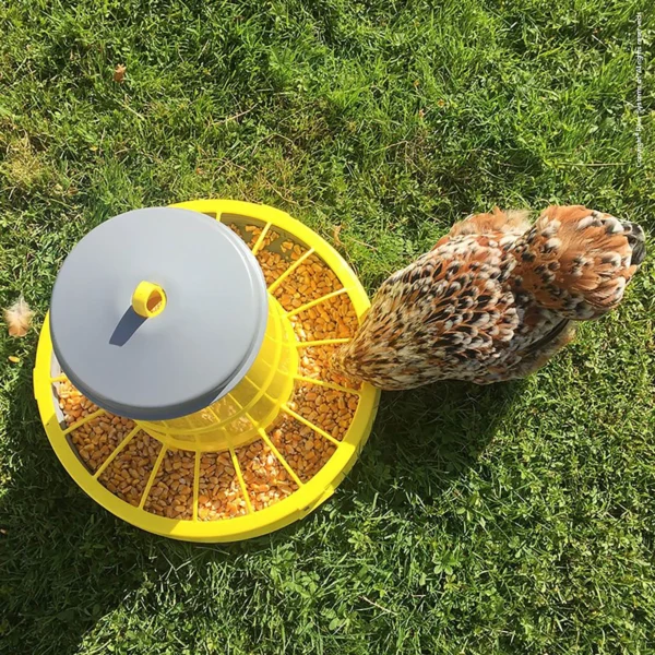 Karmnik dla kur na nóżkach 7 kg
