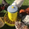 Karmnik dla kur na nóżkach 7 kg