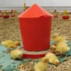 Karmidło startowe dla piskląt - 5 kg