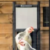 Drzwi do kurnika samoblokujące ChickenGuard