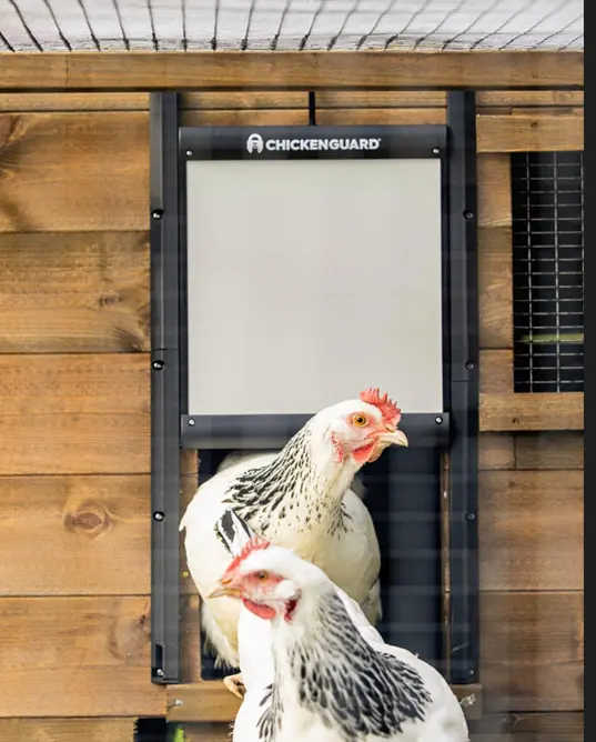 Drzwi do kurnika samoblokujące ChickenGuard