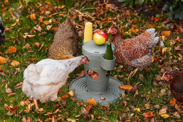 Karmnik zabawka dla kur Chicken Tower na paszę i przysmaki
