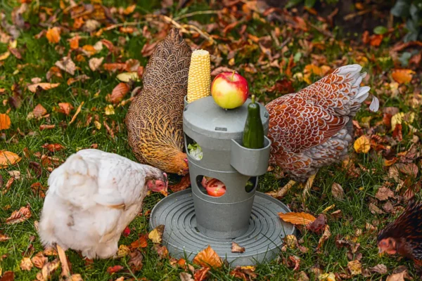 Karmnik zabawka dla kur Chicken Tower na paszę i przysmaki