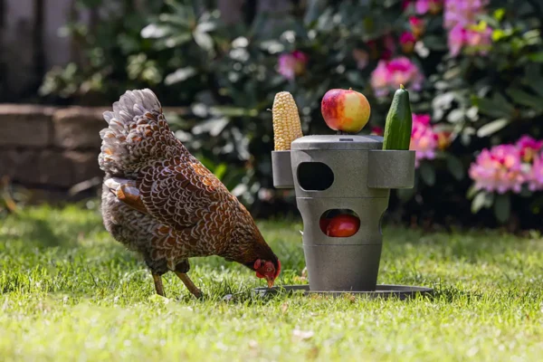 Karmnik zabawka dla kur Chicken Tower na paszę i przysmaki