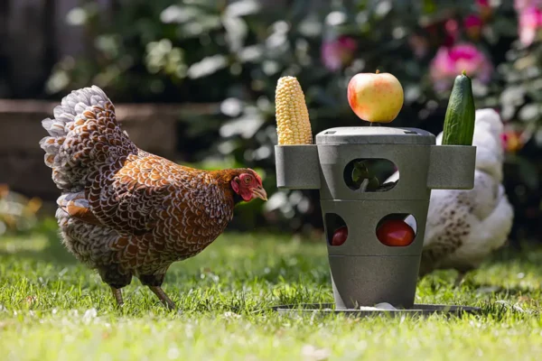 Karmnik zabawka dla kur Chicken Tower na paszę i przysmaki