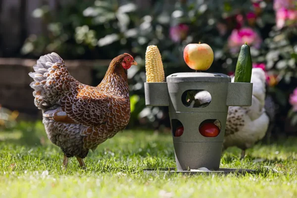 Karmnik zabawka dla kur Chicken Tower na paszę i przysmaki