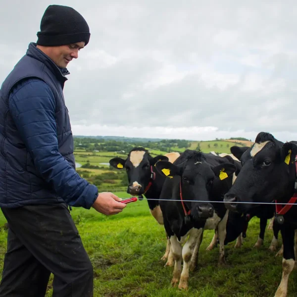 Kieszonkowy tester napięcia pastucha 3w1 - 8kV ze składanym ostrzem