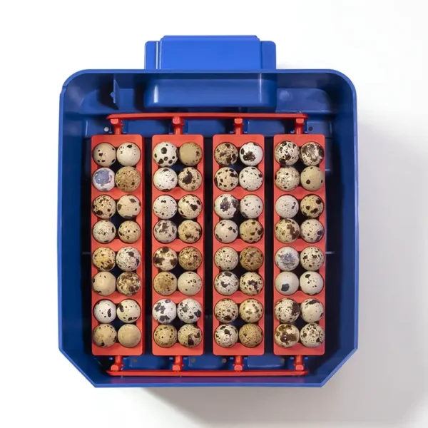 Inkubator do jaj automatyczny Lumia 16 Borotto z tacą
