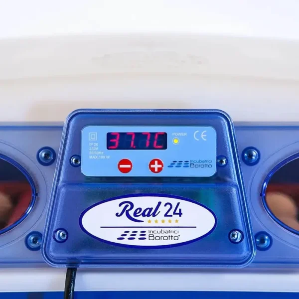 Inkubator półautomatyczny do jaj Borotto Real 24