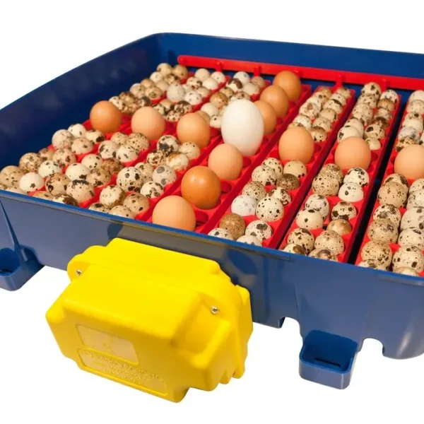Automatyczny Inkubator do jaj Borotto Real 49