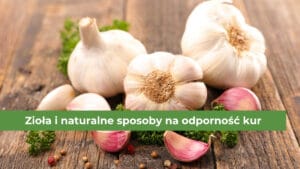 Czosnek na drewnianym blacie