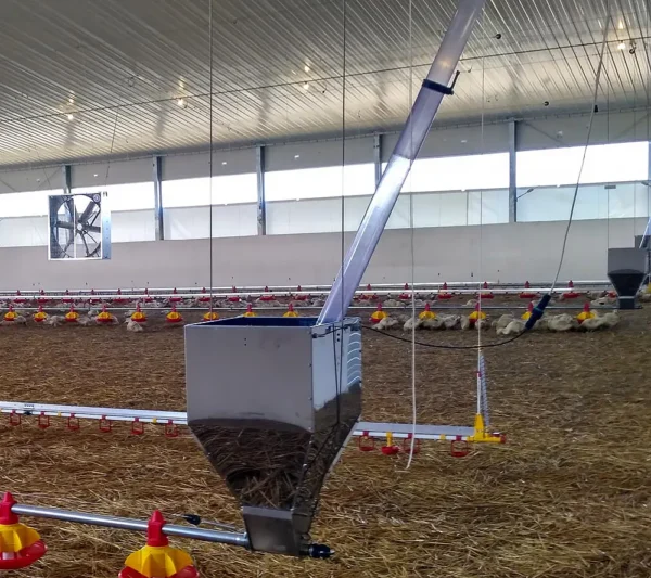 Nierdzewny kosz zasypowy do linii karmienia drobiu 90 kg
