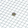 Ocynkowana siatka zgrzewana 13 x 13 mm - Rolka 1 x 5 m Jednogroszówka umieszczona na siatce ocynkowanej