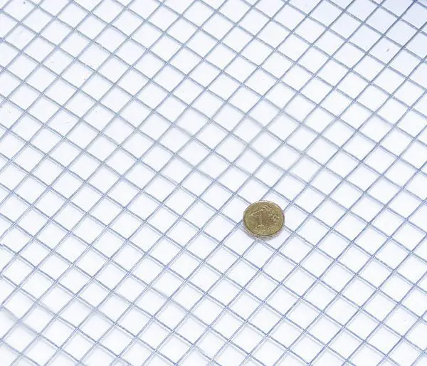 Siatka zgrzewana ocynkowana 6x6 mm (Rolka 1x5 m)2 Moneta jednogroszowa na siatce zgrzewanej